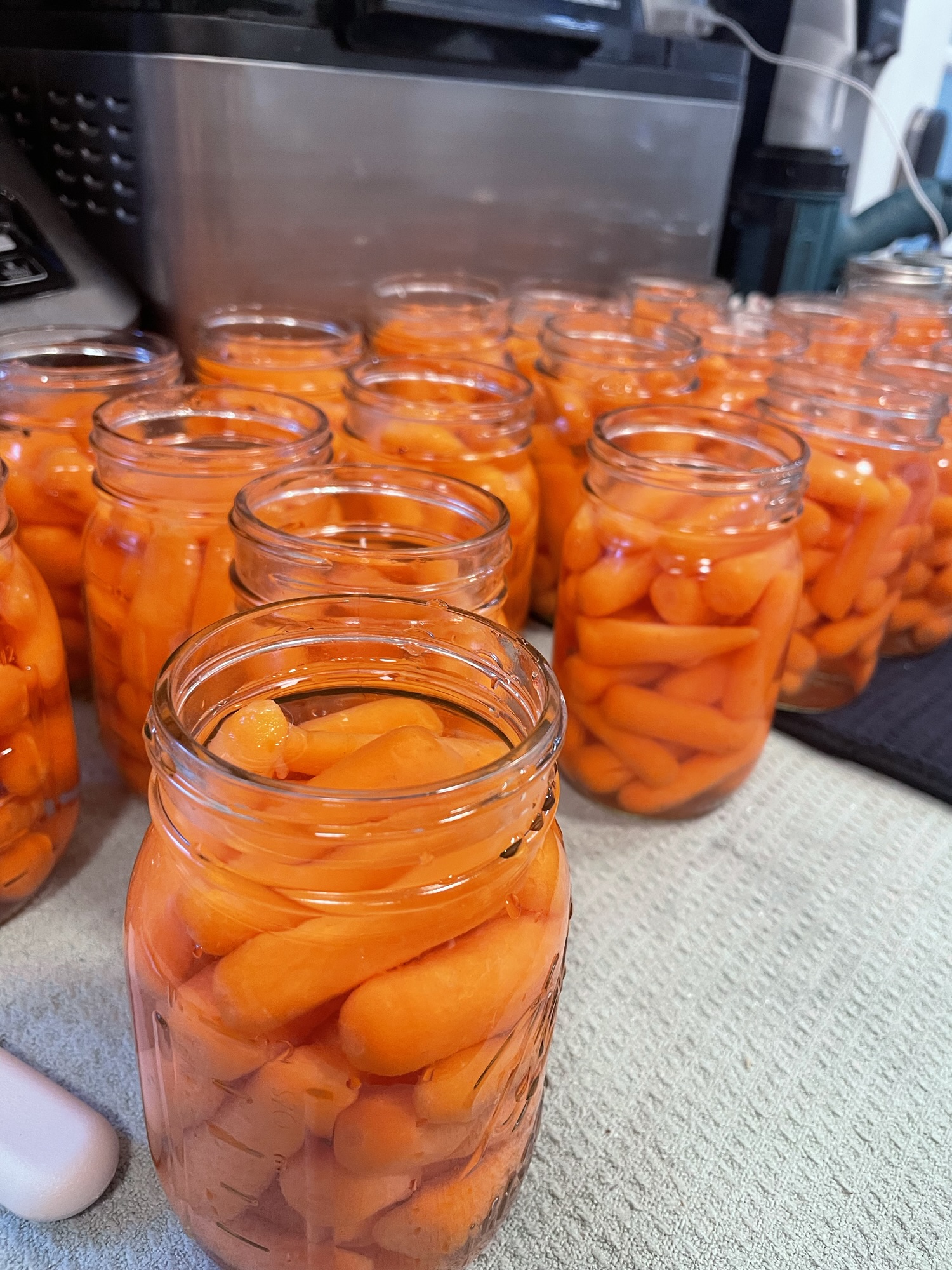 Canned Carrots – Healer Haven Homestead